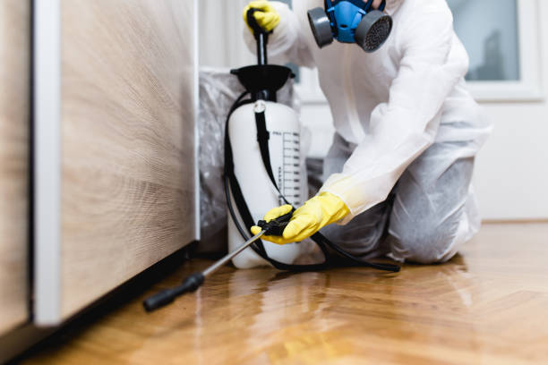 Best Best Pest Control Companies  in Walcott, IA