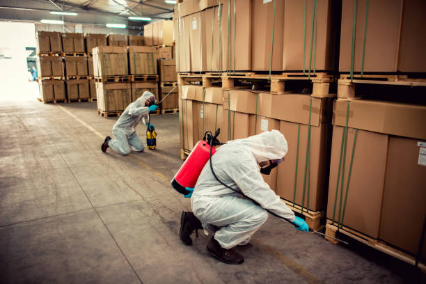 Best Pest Control Near Me  in Walcott, IA