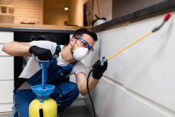 Best Residential Pest Control  in Walcott, IA