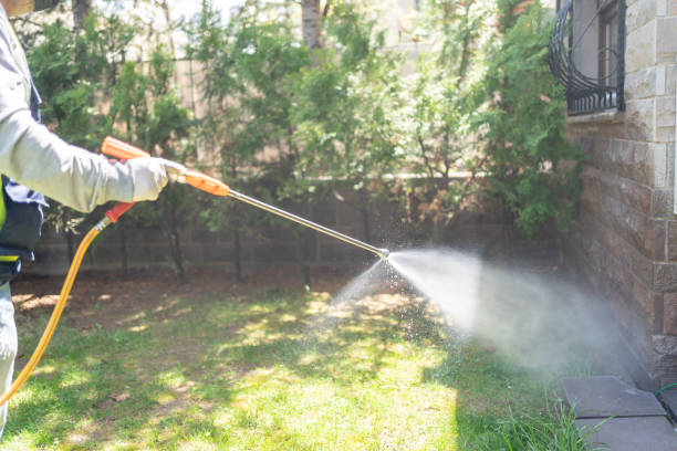 Best Pest Control for Restaurants  in Walcott, IA
