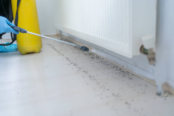 Pest Control for Restaurants in Walcott, IA