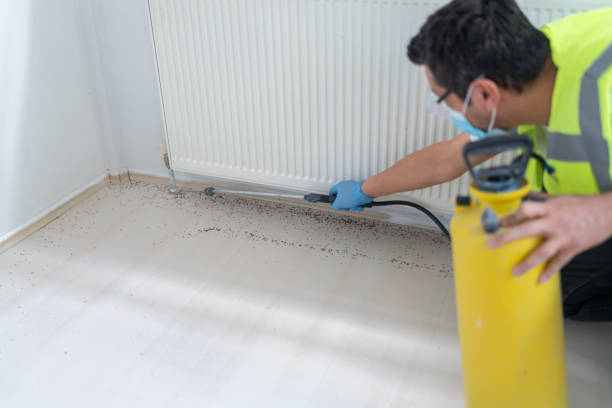 Best Emergency Pest Control  in Walcott, IA