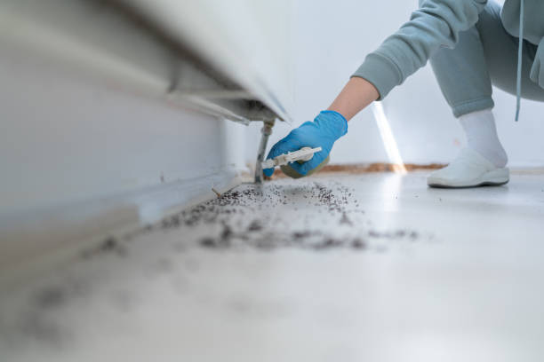 Best Commercial Pest Control Services  in Walcott, IA