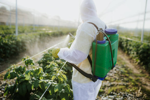 Best Affordable Pest Control Services  in Walcott, IA
